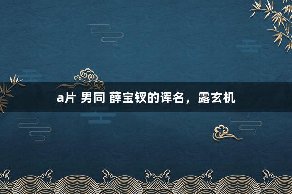 a片 男同 薛宝钗的诨名，露玄机