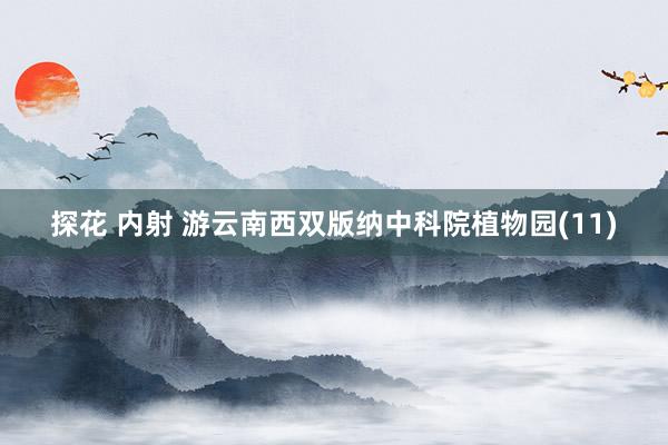 探花 内射 游云南西双版纳中科院植物园(11)