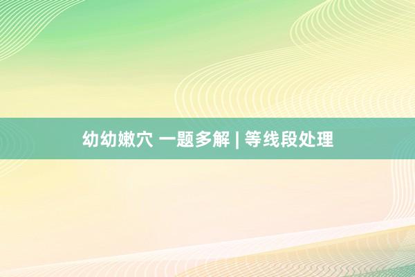 幼幼嫩穴 一题多解 | 等线段处理