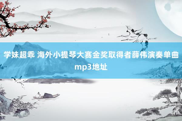 学妹超乖 海外小提琴大赛金奖取得者薛伟演奏单曲mp3地址