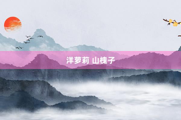 洋萝莉 山槐子