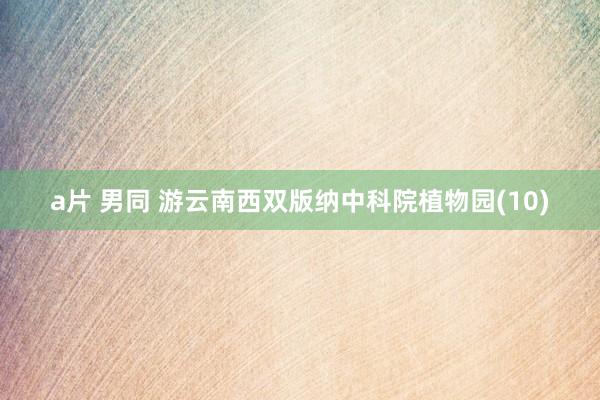 a片 男同 游云南西双版纳中科院植物园(10)
