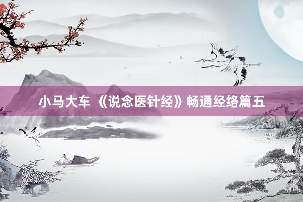 小马大车 《说念医针经》畅通经络篇五