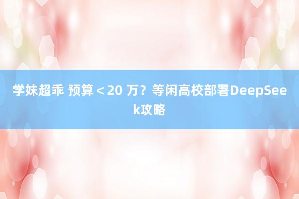 学妹超乖 预算＜20 万？等闲高校部署DeepSeek攻略