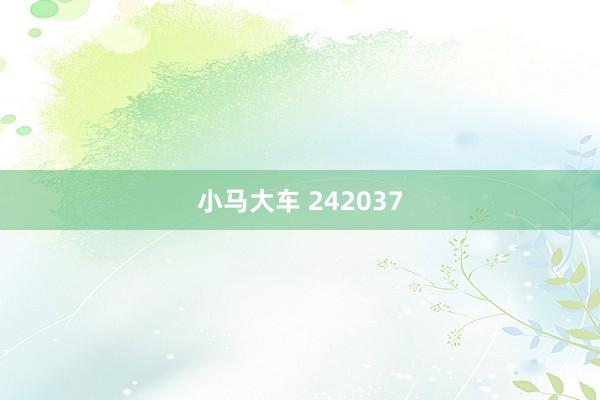 小马大车 242037